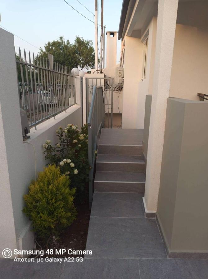 Oresti'S Villa Near Airport & Beach อาร์เตมีดา ภายนอก รูปภาพ